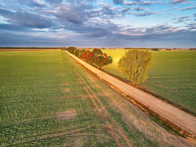 Couleurs d'automne érables chemin de terre champs agricoles automne paysage rural septembre matin ensoleillé nuages sur sky