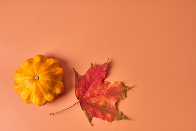 Couleurs d'automne. Feuille d'érable rouge à côté d'une citrouille jaune sur fond orange