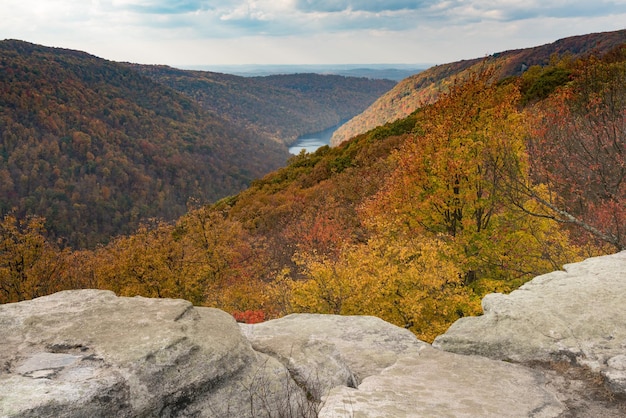 Couleurs d'automne en forêt à Coopers Rock State Park WV