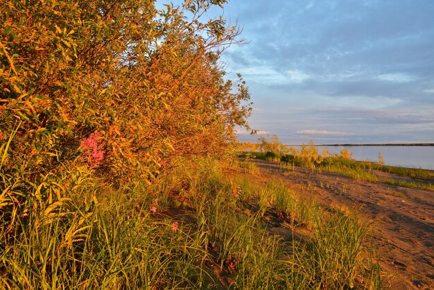 Couleurs du soleil couchant