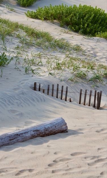 Photo couleurs de plage