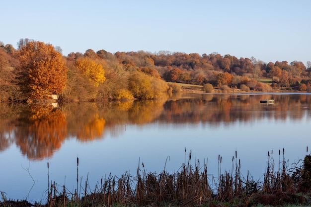 Couleurs rousses de l'automne à Weir Wood Reservoir près d'East Grinstead