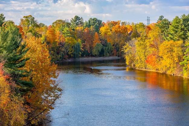 Couleurs vibrantes d'octobre large vue panoramique sur un magnifique parc matinal d'automne jaune orange de sérénité avec des arbres luxuriants reflétés dans l'eau de la rivière pittoresque paysage d'automne