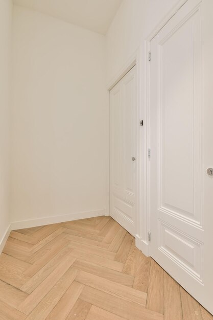 Couloir aux portes blanches dans une maison moderne