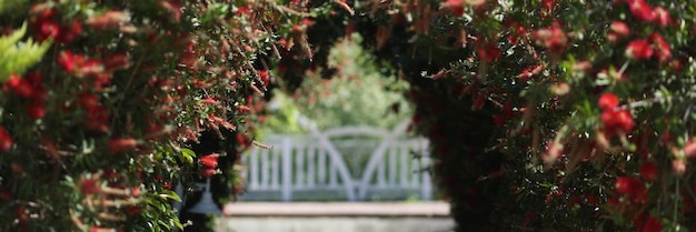 Un couloir dans le jardin d'une arche fleurie décorative