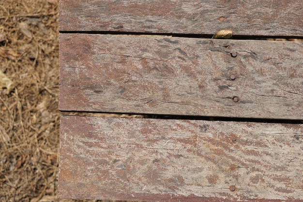 Couloir de plancher en bois pour les touristes