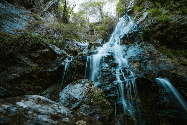 coup d'une cascade au milieu de la forêt