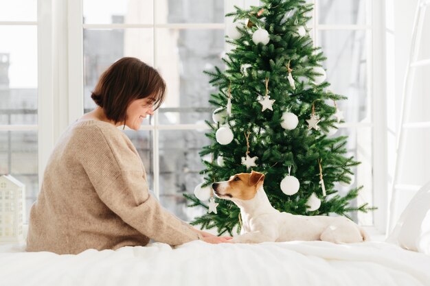 Coup de côté de jeune femme brune en pull marron lâche détient les pattes de chien