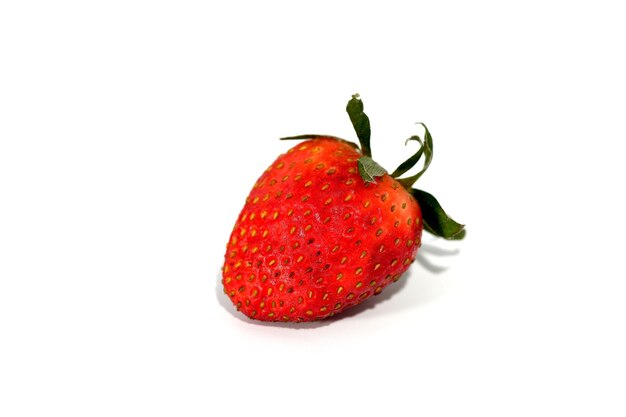 Photo coup isolé d'une seule fraise en gros plan
