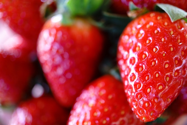 Coup de macro de fraises rouges biologiques fraîches, mise au point sélective