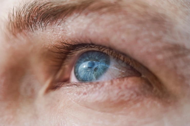 Photo coup de macro oeil bleu humain