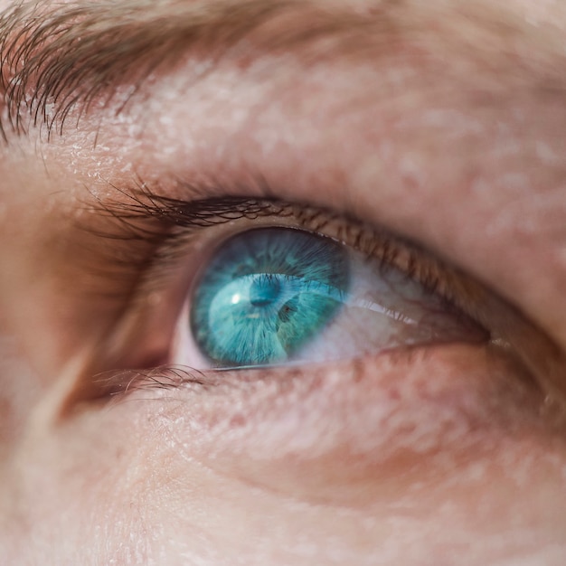 Coup de macro oeil bleu humain