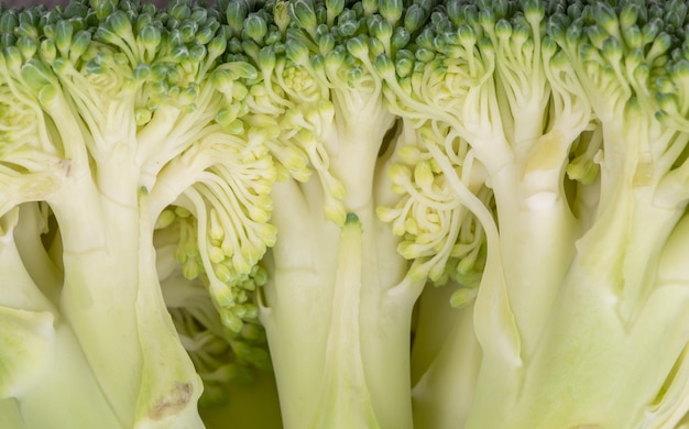 Coup de macro de tige végétale de brocoli vert et frais