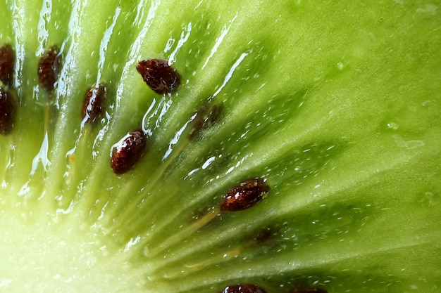 Coup de macro de viande et de graines de kiwi mûrs frais et juteux verts, texture d&#39;arrière-plan