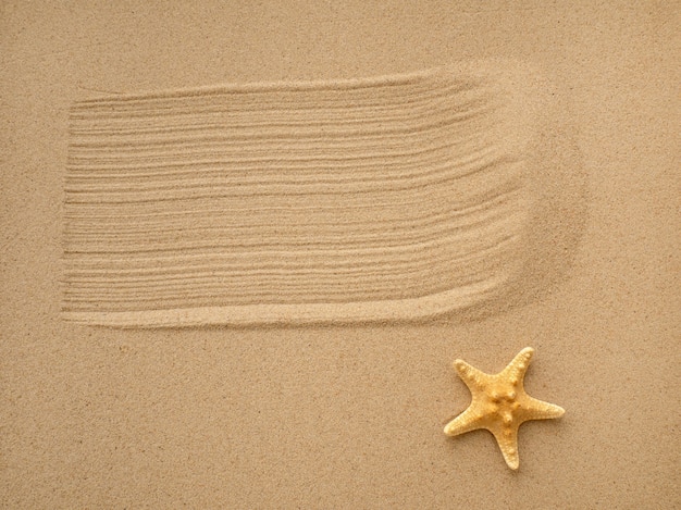 Un coup de pinceau dans le sable et une étoile de mer. Le concept de loisirs et de voyage. espace pour le texte.