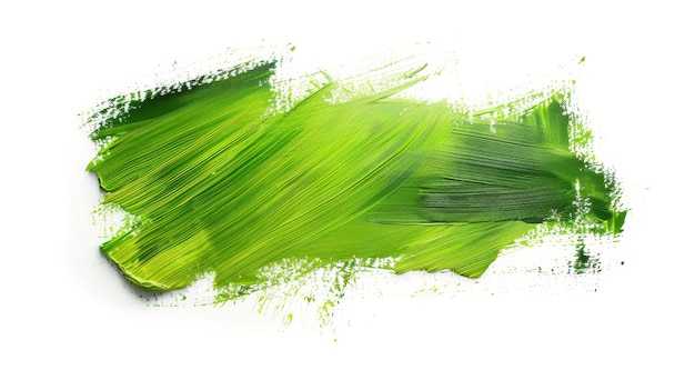Un coup de pinceau vert sur un fond blanc