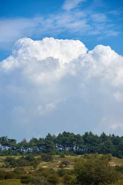 Un coup vertical de montagnes boisées contre le ciel nuageux