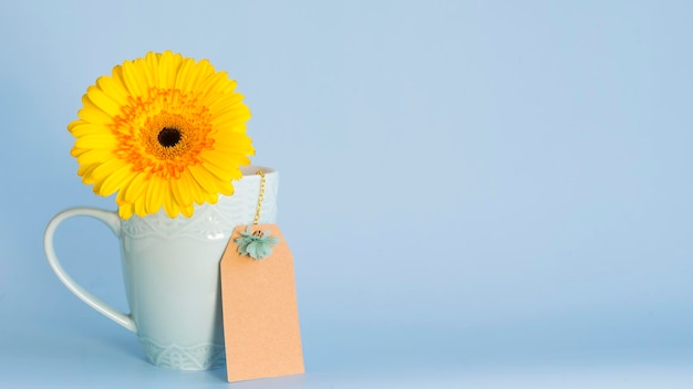 Coupe bleue avec gerbera jaune