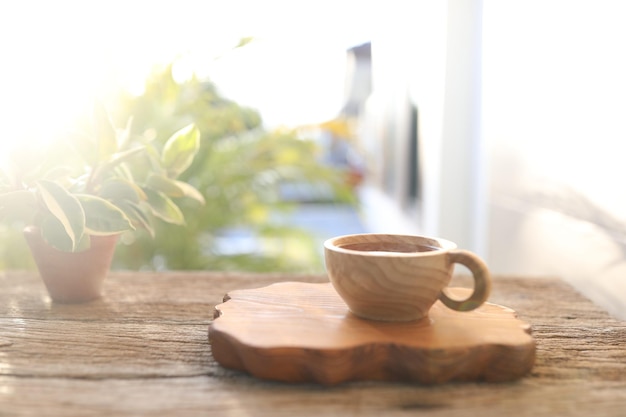 Coupe en bois et plante Dracaena surculosa