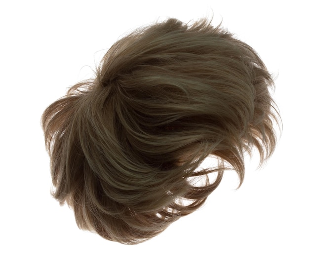 Coupe droite Perruque style de cheveux volée explosion de chute homme brun foncé femme perruque cheveux flotter dans l'air droit brun blond perruque cheveu vent souffler nuage jeter fond blanc isolé