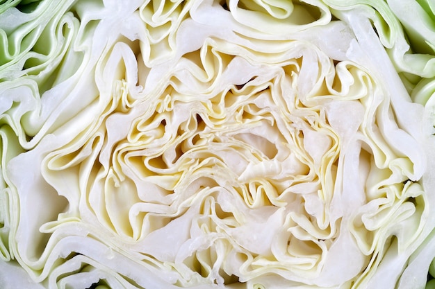 Coupe de jeune chou aux feuilles vertes et blanches. gros plan à l'intérieur pendant la cuisson