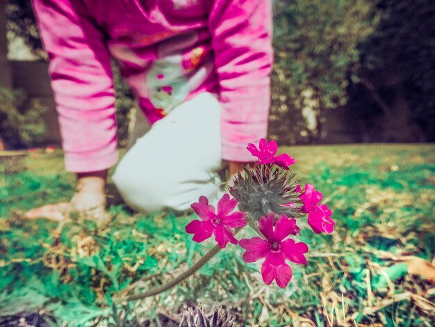 Photo coupe médiane d'une fille par une fleur rose fleurissant sur le champ