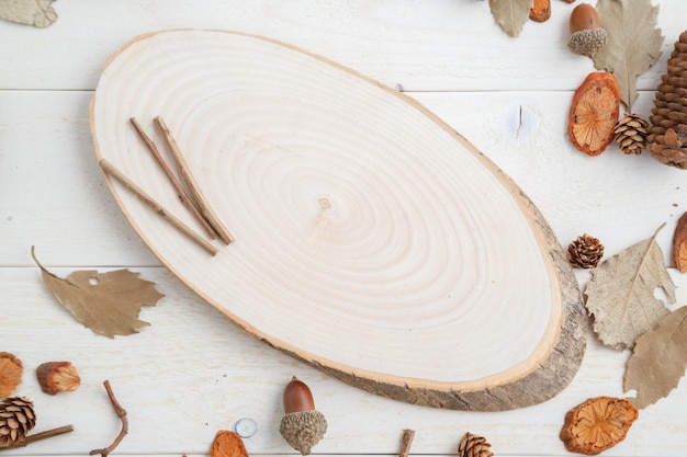 Coupe transversale d'un arbre sur une table en bois dans le style de l'automne. vue de dessus