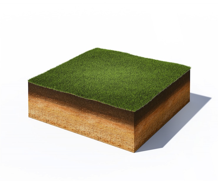 Photo coupe transversale isométrique du sol avec de l'herbe