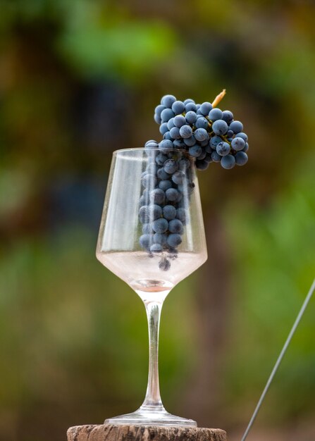 Coupe en verre avec des raisins à l'intérieur