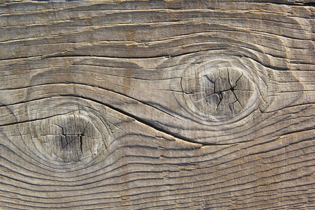 Coupe d'une vieille planche avec un motif