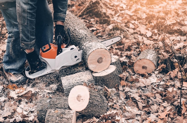 Photo couper des arbres en automne dans les bois les mains de l'homme tiennent une scie à chaîne