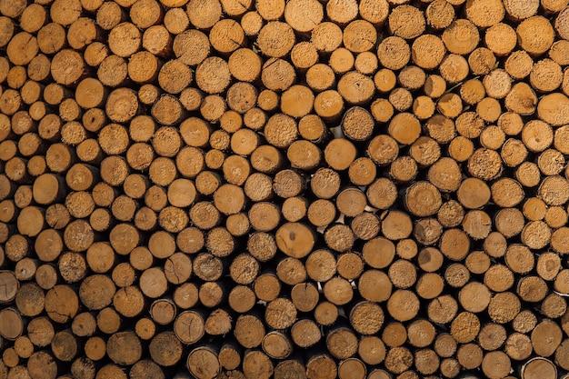 Couper les bûches de bois en couches Arrière-plan de tas de bûches fraîches avec des coupes claires