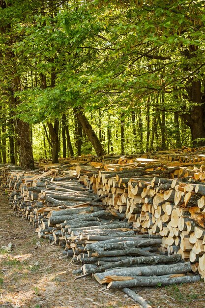 Photo couper des bûches de bois