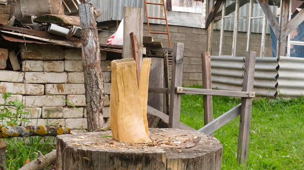 Couper du bois de chauffage de bouleau avec une hache dans la nature