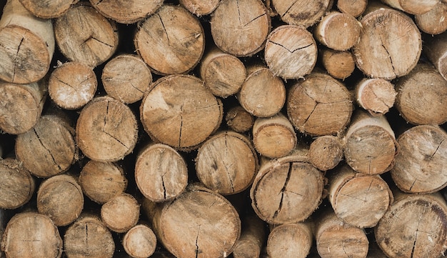 Couper le fond du bois sur l'industrie du matériel brut
