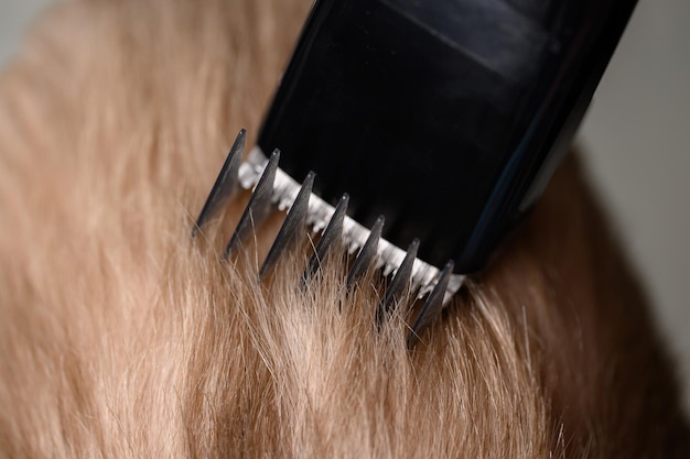 Photo coupes de cheveux de cheveux blonds pour un garçon avec un concept de soins capillaires en gros plan tondeuse