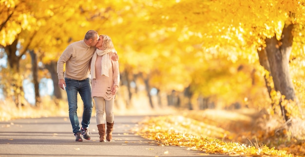 Un couple adulte amoureux de baisers marchant dans un magnifique parc d'automne.