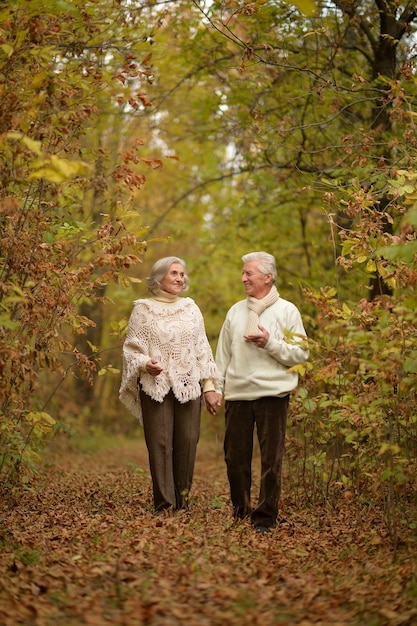 Un couple âgé dans le parc d'automne.