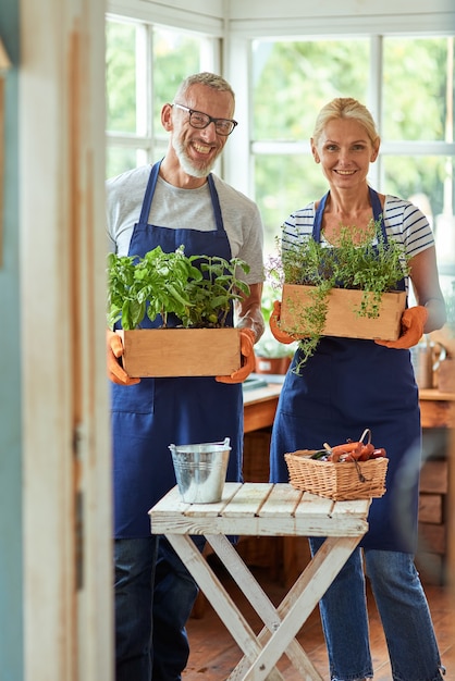 Couple d'âge moyen avec des plantes en serre