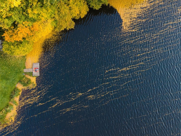 Couple allongé sur la jetée au bord du lac recouvert de feuilles d'automne