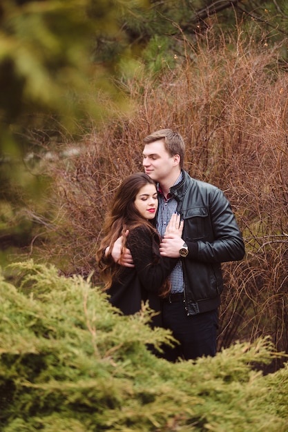 Couple d'amoureux embrassant sur des sapins