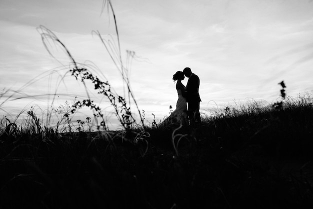 Un couple amoureux un gars et une fille sur une promenade dans la ceinture de la forêt