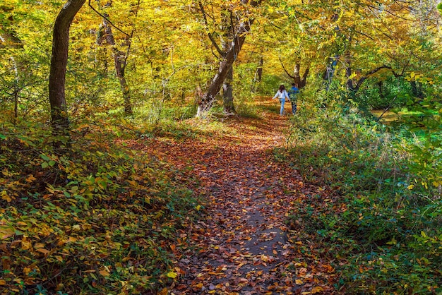 Un couple d'amoureux marchant dans la forêt d'automne