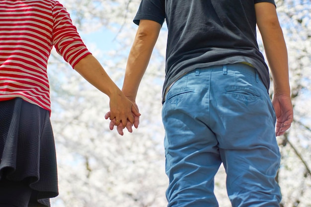 Couple d'amoureux se tenant la main appréciant de voir la fleur de cerisier