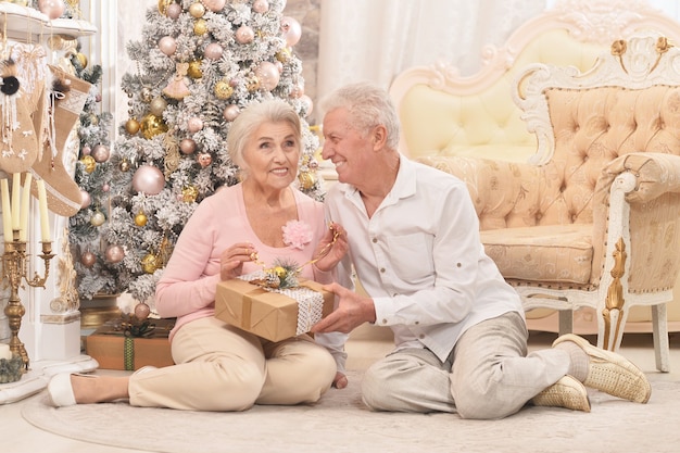 Couple amusant avec cadeau de Noël près de l'arbre