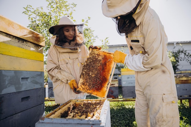 Un couple d'apiculteurs, un homme et une femme, sortent du cadre avec des abeilles de la ruche d'une ferme d'abeilles.