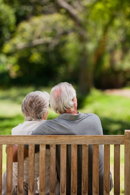 Couple assis sur le banc avec le dos à la caméra