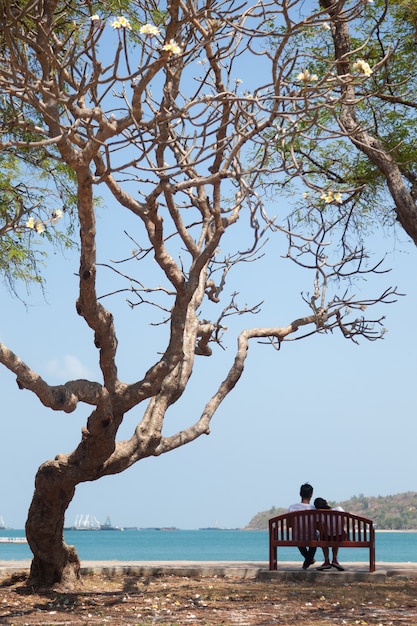 Couple assis sur un banc sous un arbre.