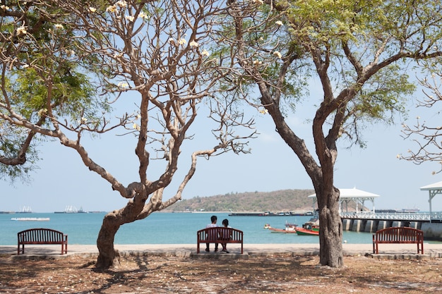 Couple assis sur un banc sous un arbre.