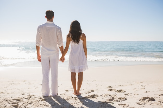 Couple attrayant, tenant par la main et regardant les vagues